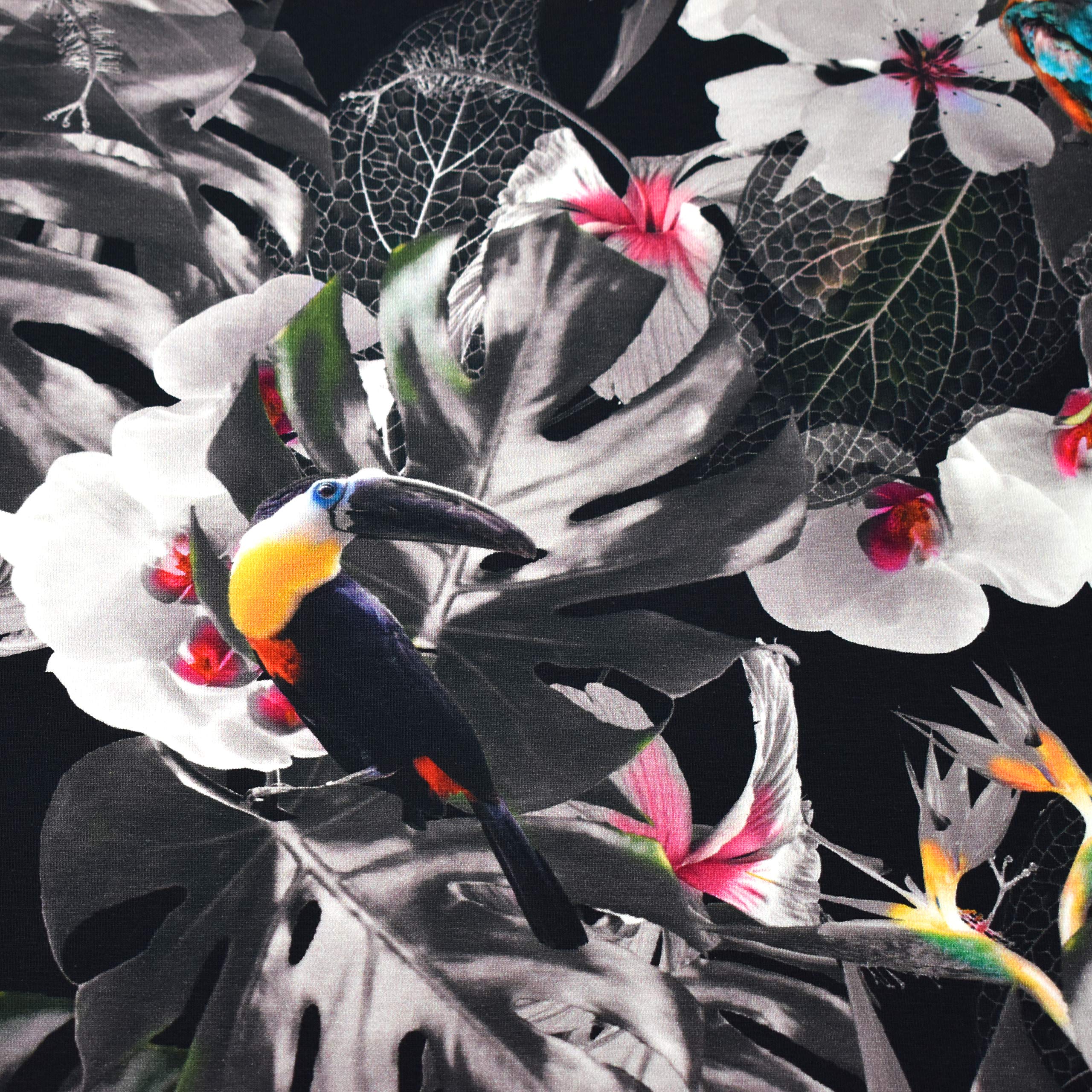 MAGAM-Stoffe Matthew Kinder Jersey Stoff Oeko-Tex Meterware 50cm (Hummer)